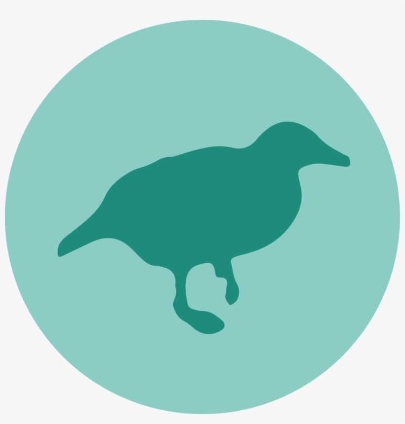 Imagem do produto Machine Learning e Data Science com Weka e Java - Completo