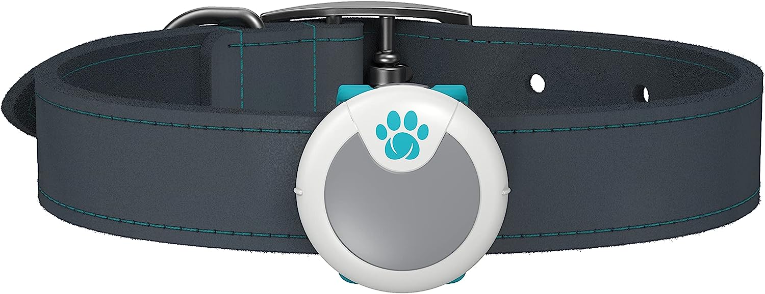 Imagem do produto Monitor de Comportamento para Cachorros - Sure PetCare